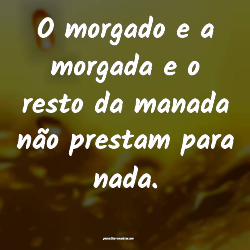 O morgado e a morgada e o resto da manada não pre ...