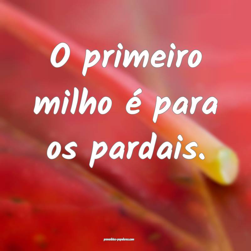 O primeiro milho é para os pardais.
...