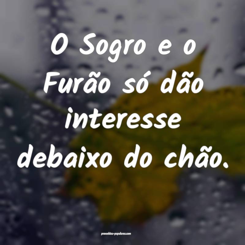 O Sogro e o Furão só dão interesse debaixo do chão.
...