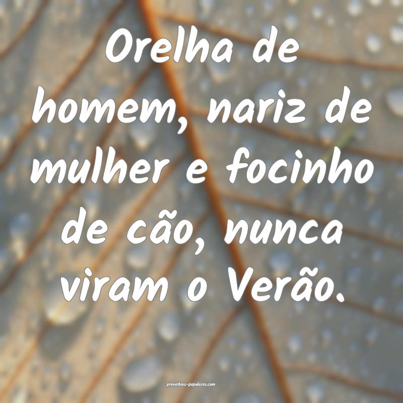 Orelha de homem, nariz de mulher e focinho de cão, nunca viram o Ver...
