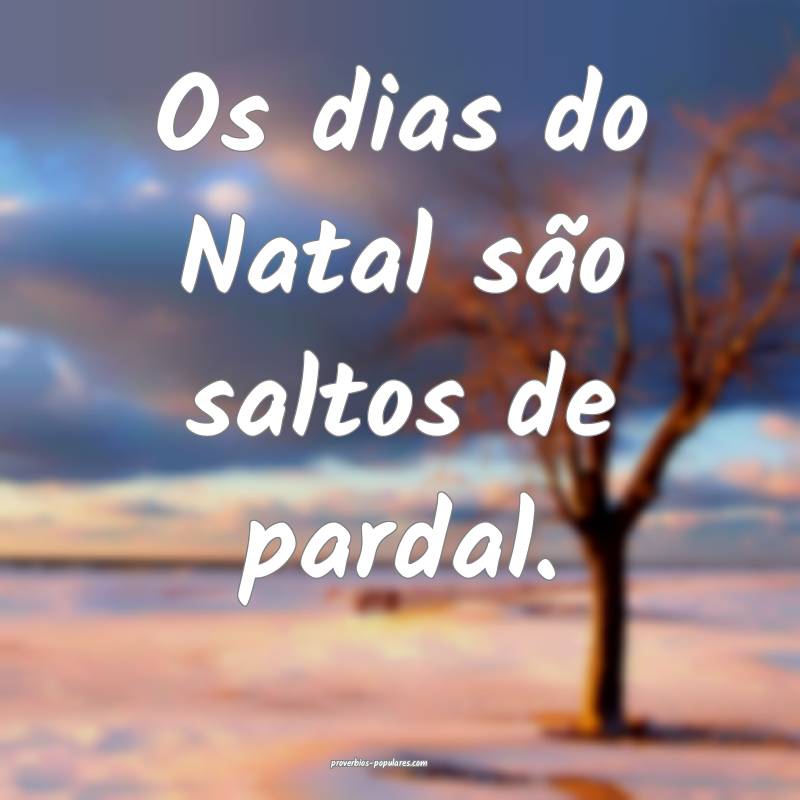 Os dias do Natal são saltos de pardal.
...