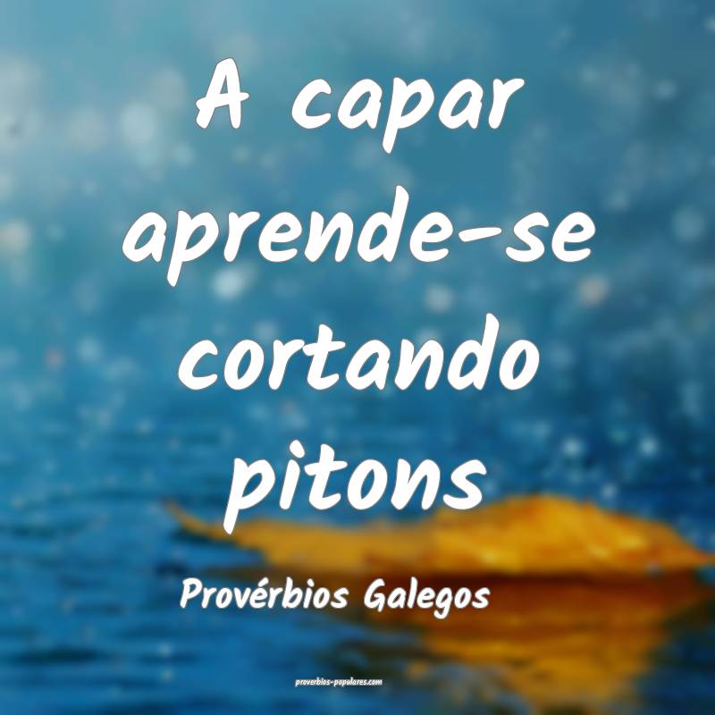 Provérbios Galegos - A capar aprende-se cortando ...
