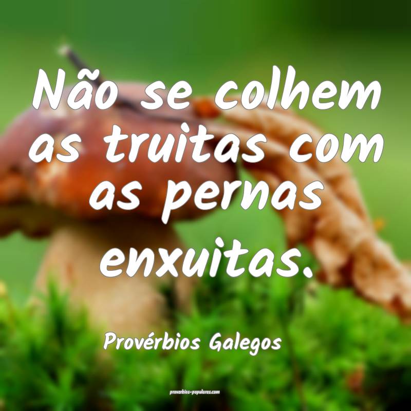 Não se colhem as truitas com as pernas enxuitas.
...