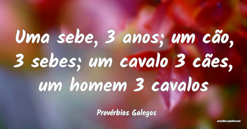 Provérbios Galegos - Uma sebe, 3 anos; um cão, 3 ...