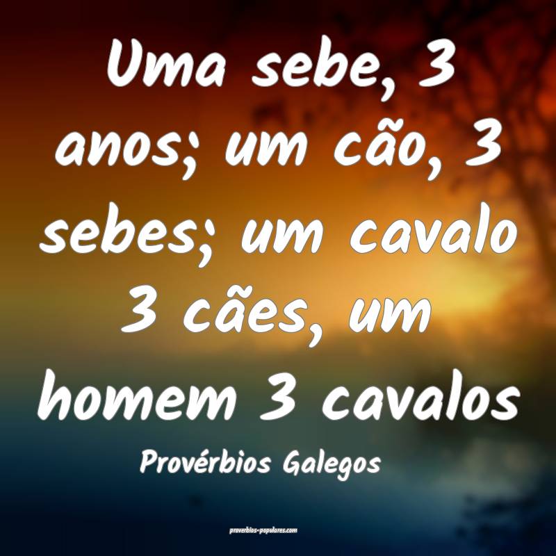 Uma sebe, 3 anos; um cão, 3 sebes; um cavalo 3 cães, um homem 3 cava...