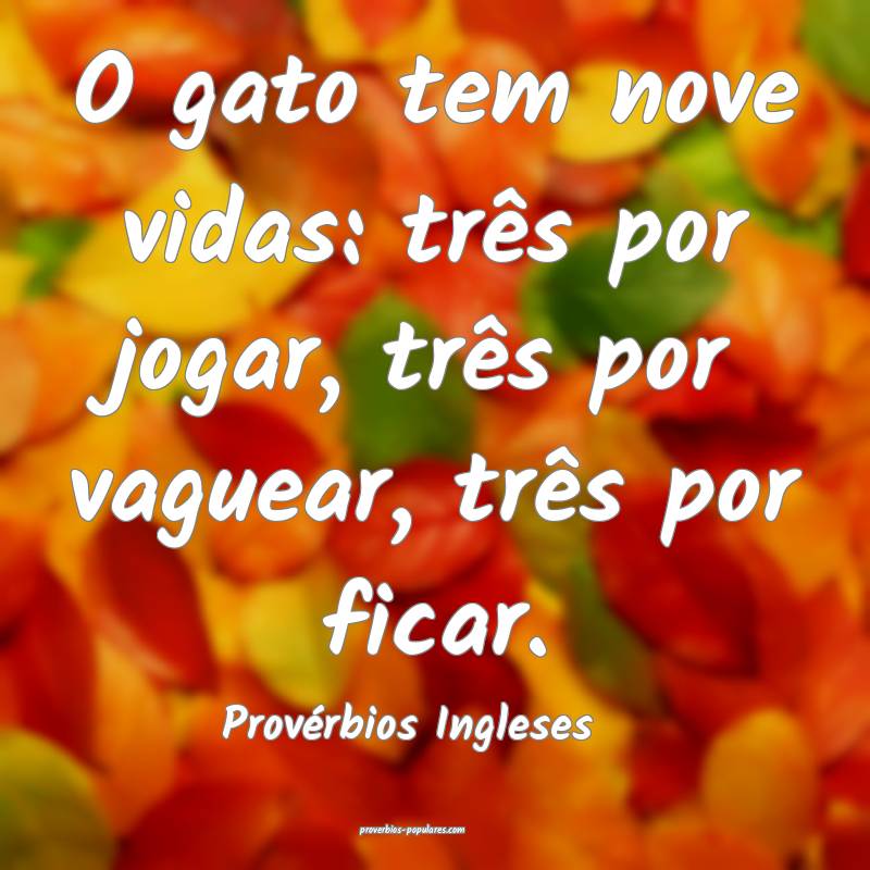 O gato tem nove vidas: três por jogar, três por vaguear, três por f...