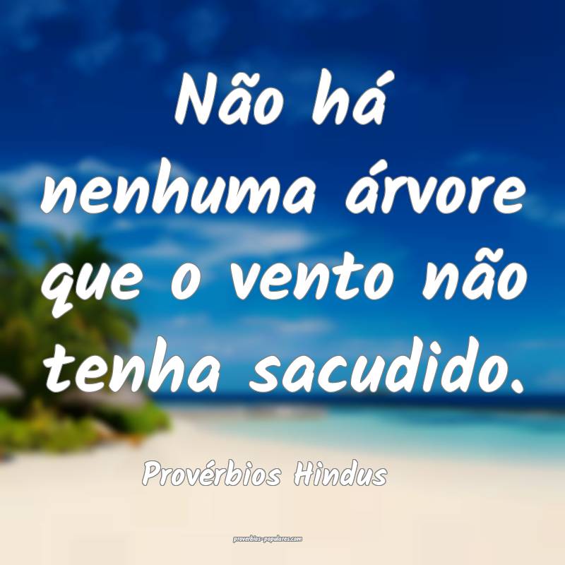 Não há nenhuma árvore que o vento não tenha sacudido.
...