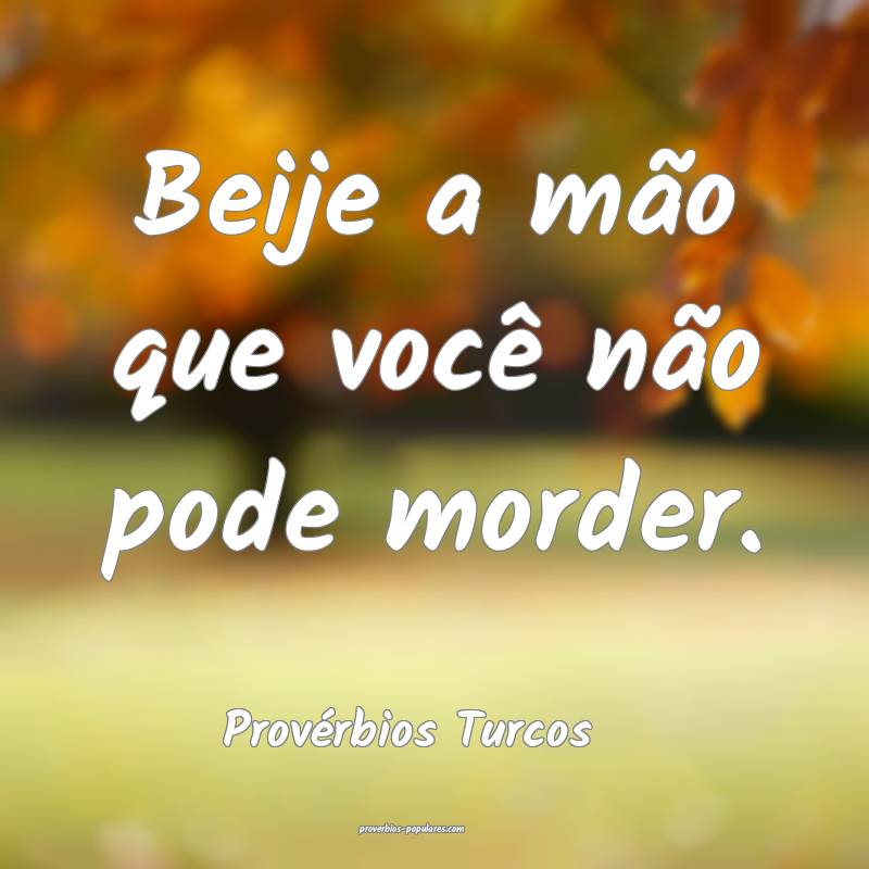 Provérbios Turcos - Beije a mão que você não p ...