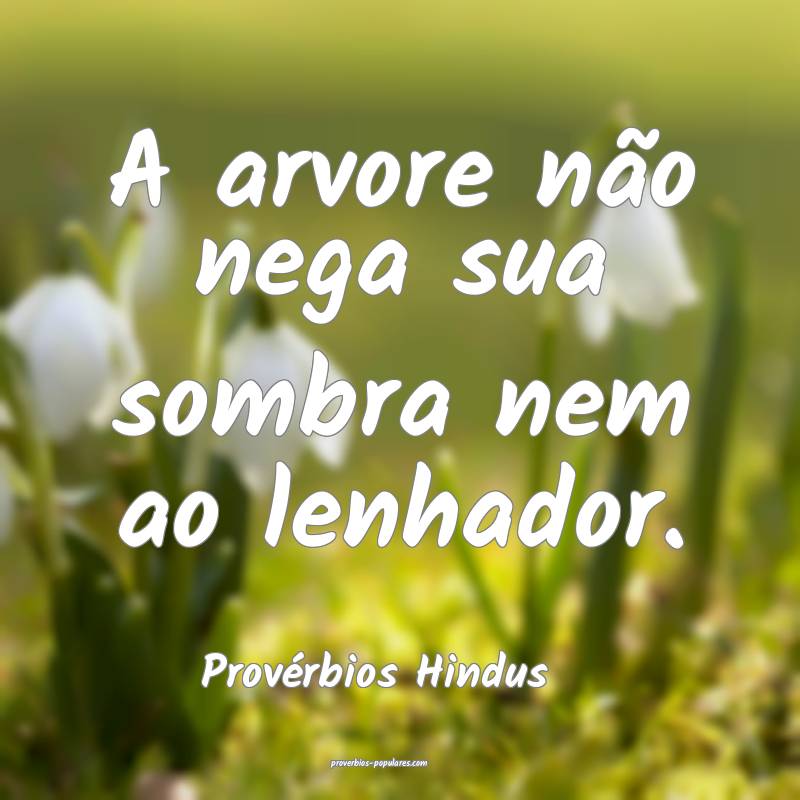 A arvore não nega sua sombra nem ao lenhador.
...