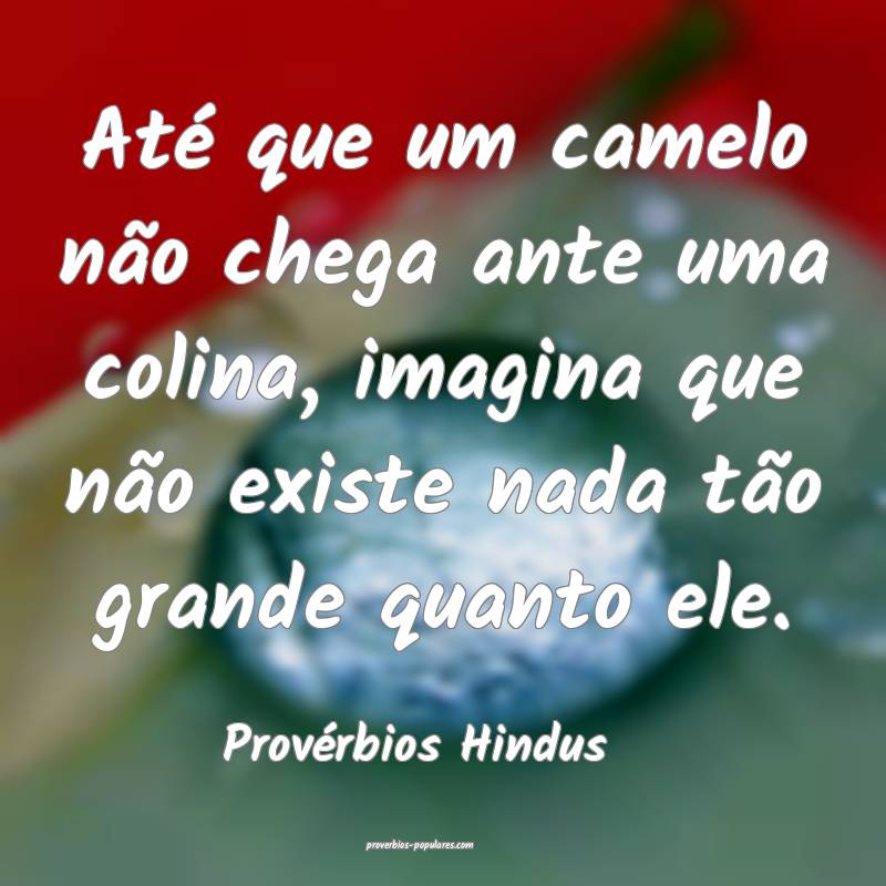 Provérbios Hindus - Até que um camelo não chega ...