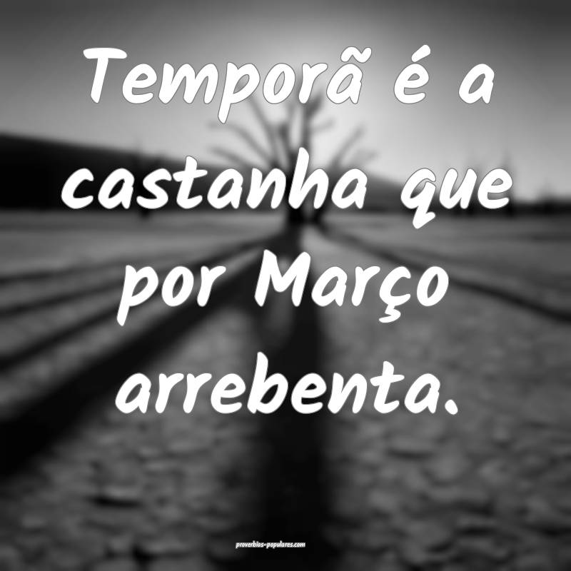 Temporã é a castanha que por Março arrebenta.
...