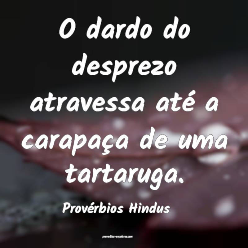 Provérbios Hindus - O dardo do desprezo atravessa ...