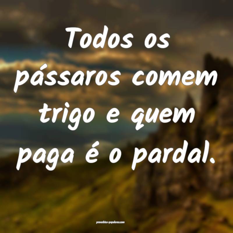Todos os pássaros comem trigo e quem paga é o pa ...