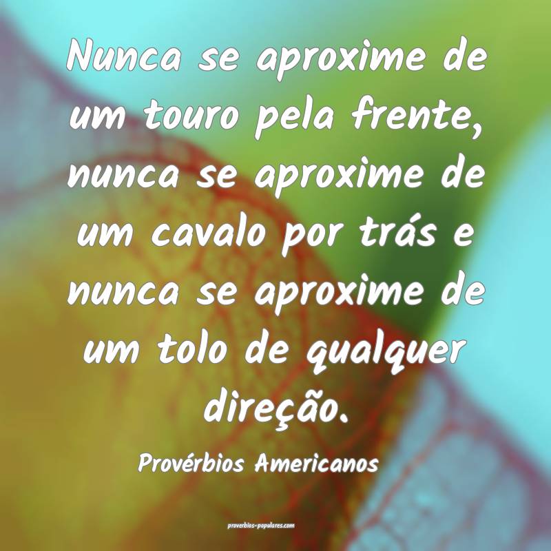 Nunca se aproxime de um touro pela frente, nunca se aproxime de um cav...