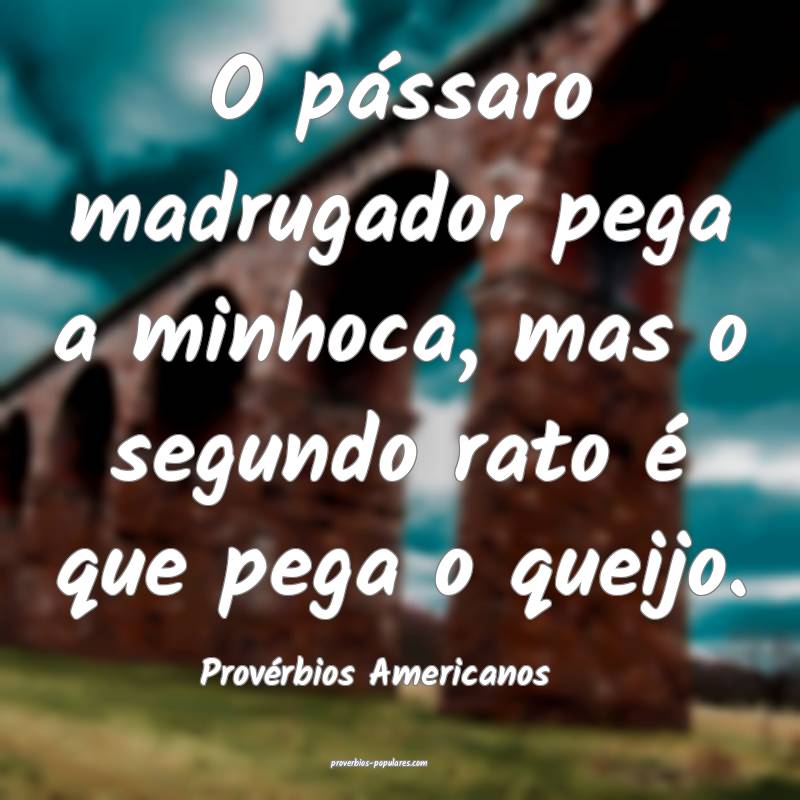 O pássaro madrugador pega a minhoca, mas o segundo rato é que pega o...