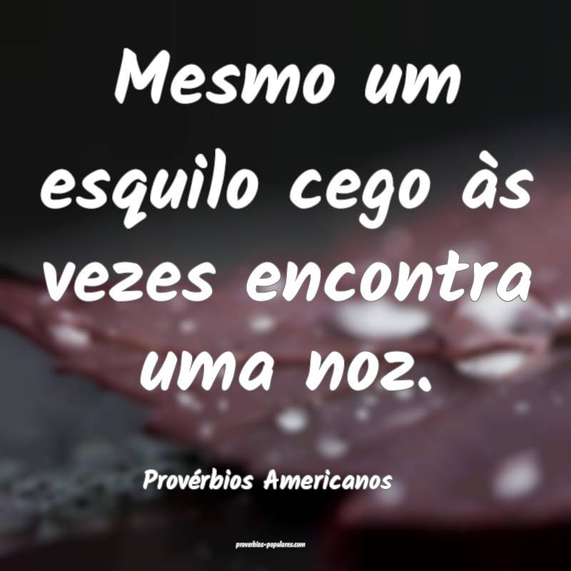 Mesmo um esquilo cego às vezes encontra uma noz.
...