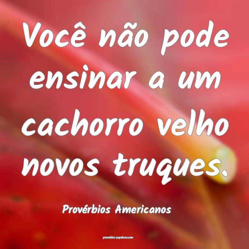Você não pode ensinar a um cachorro velho novos truques.
...
