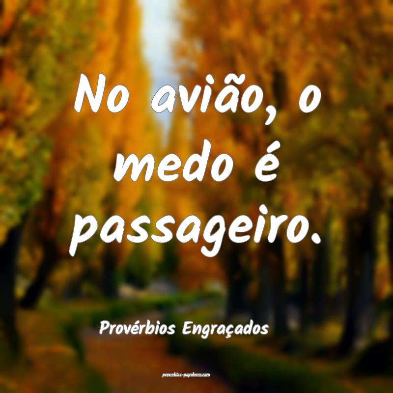 No avião, o medo é passageiro.
...
