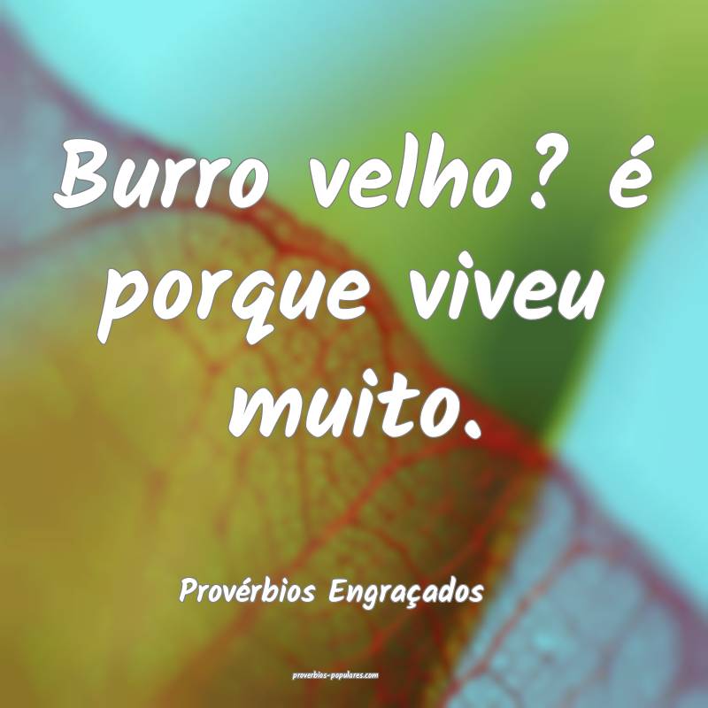 Burro velho? é porque viveu muito.
...