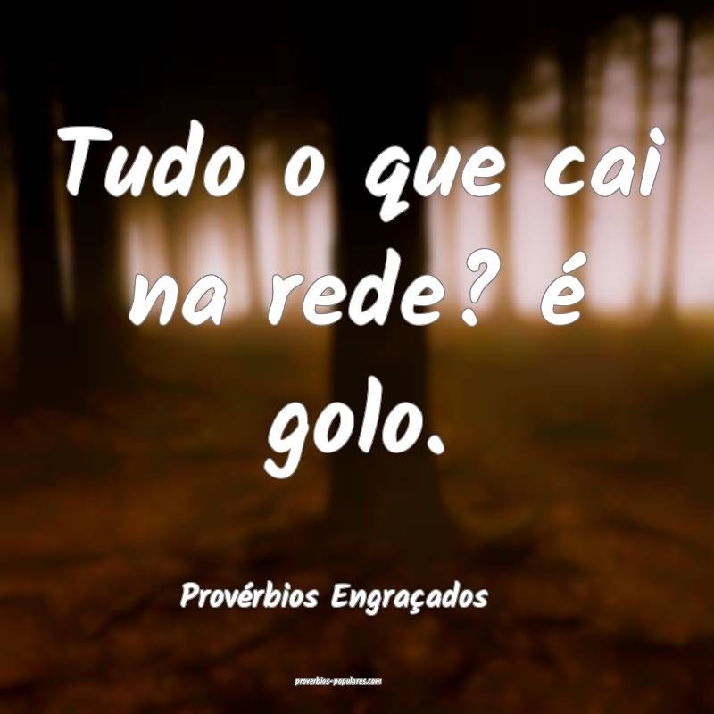Tudo o que cai na rede? é golo.
...