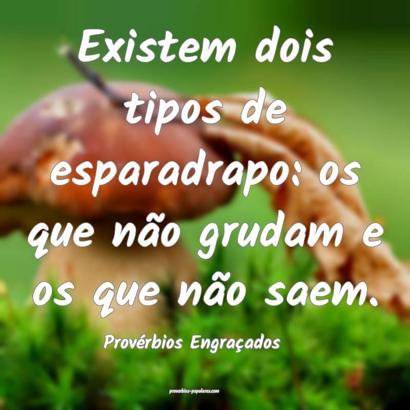 Provérbios Engraçados - Existem dois tipos de es ...