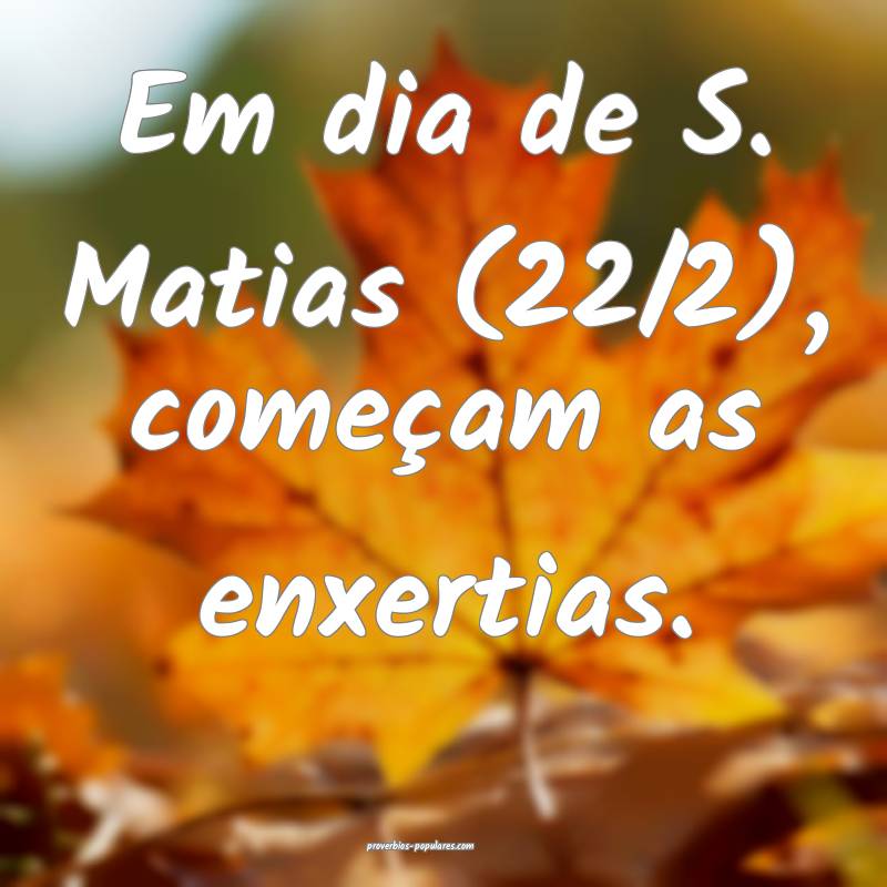 Em dia de S. Matias (22/2), começam as enxertias.
...