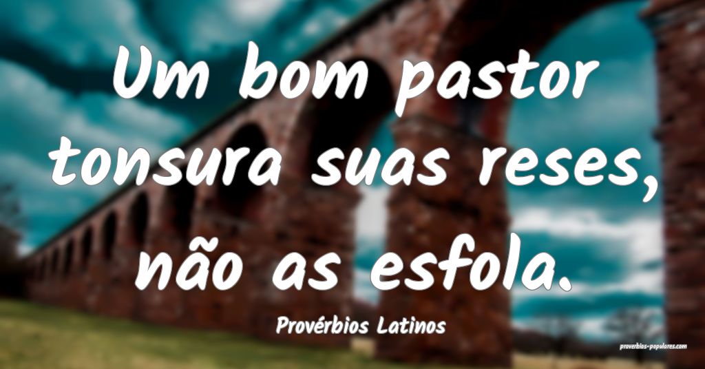 Provérbios Latinos - Um bom pastor tonsura suas r ...
