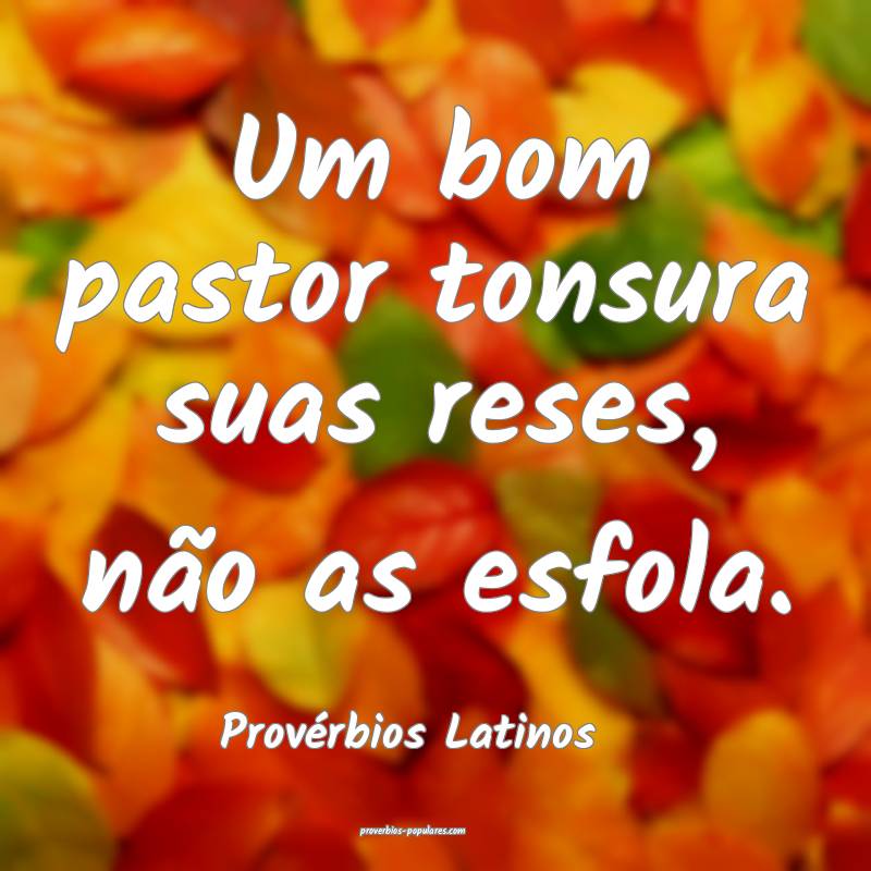 Um bom pastor tonsura suas reses, não as esfola.
...