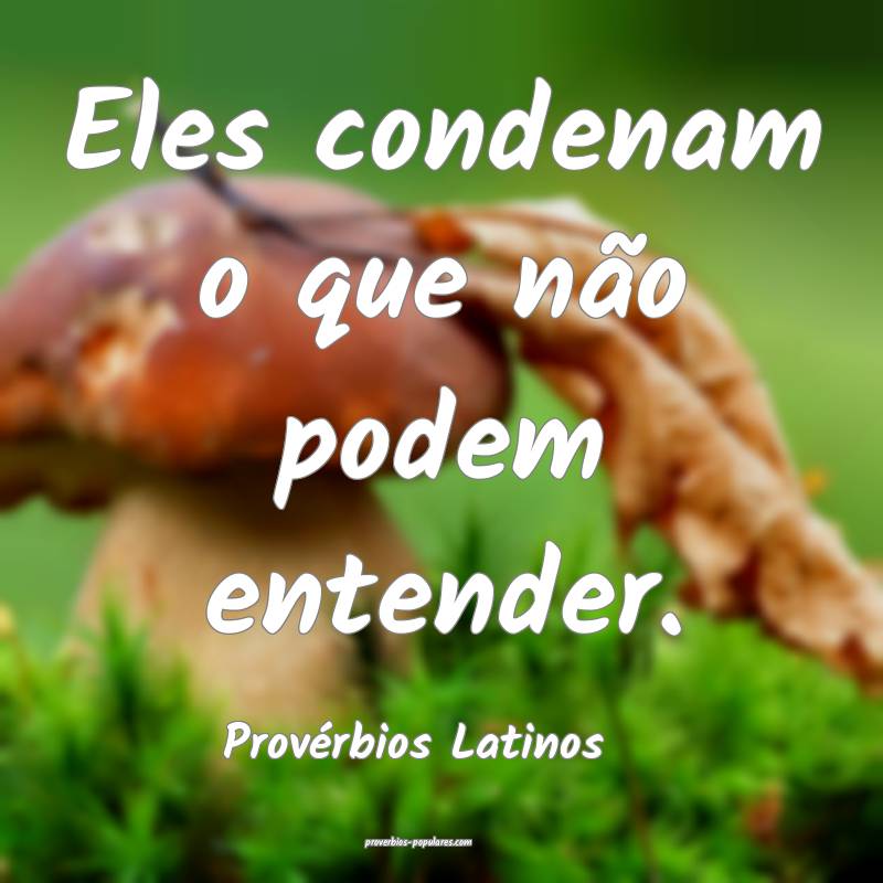 Eles condenam o que não podem entender.
...