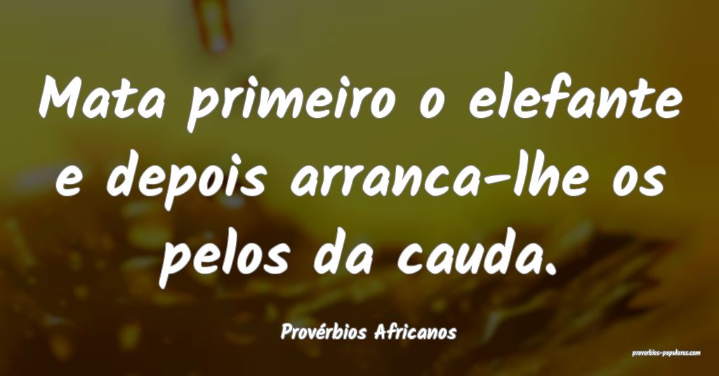 Provérbios Africanos - Mata primeiro o elefante e ...