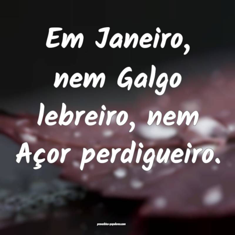 Em Janeiro, nem Galgo lebreiro, nem Açor perdigue ...
