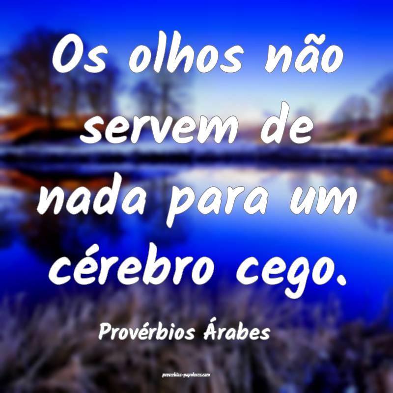 Os olhos não servem de nada para um cérebro cego.
...