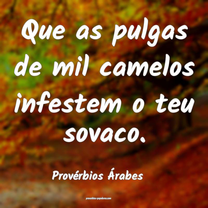 Provérbios Árabes - Que as pulgas de mil camelos ...