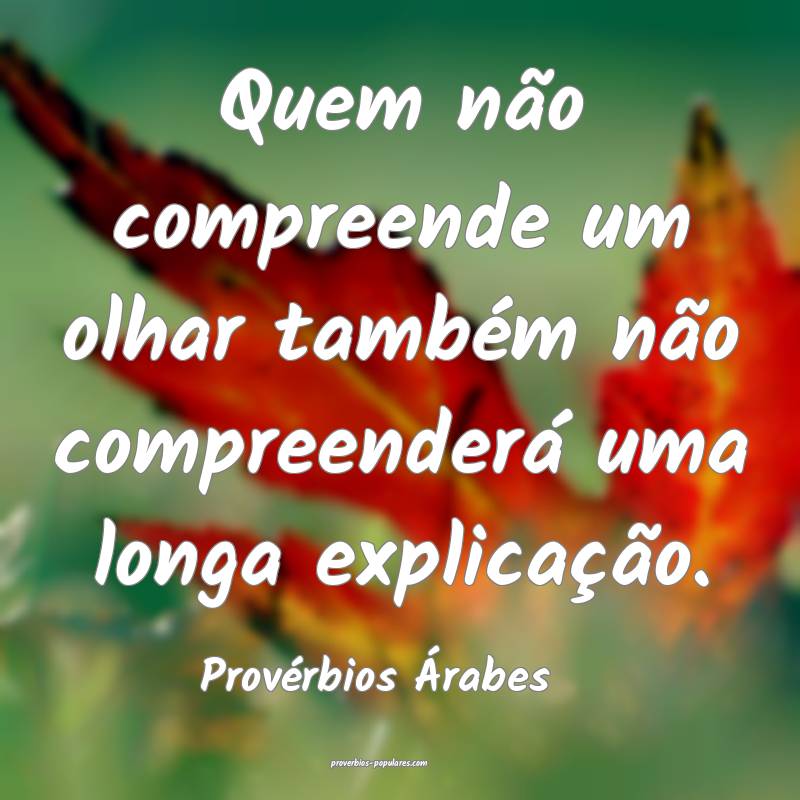 Quem não compreende um olhar também não compreenderá uma longa exp...