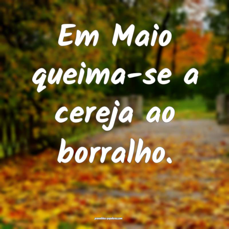 Em Maio queima-se a cereja ao borralho.
...