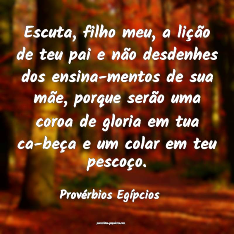 Escuta, filho meu, a lição de teu pai e não desdenhes dos ensina-me...