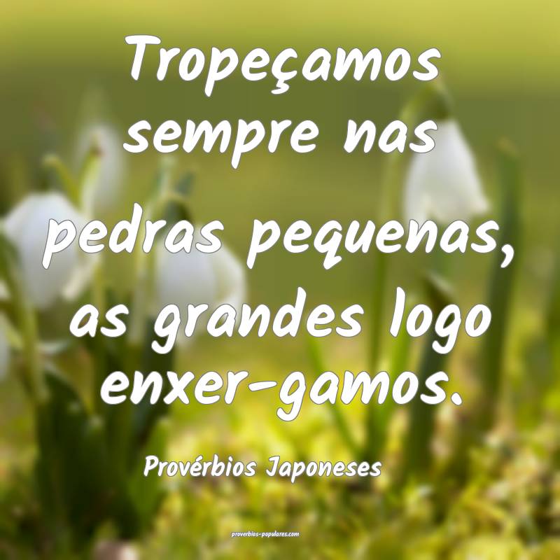 Tropeçamos sempre nas pedras pequenas, as grandes logo enxer-gamos....