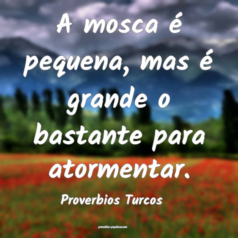 Proverbios Turcos - A mosca é pequena, mas é gra ...