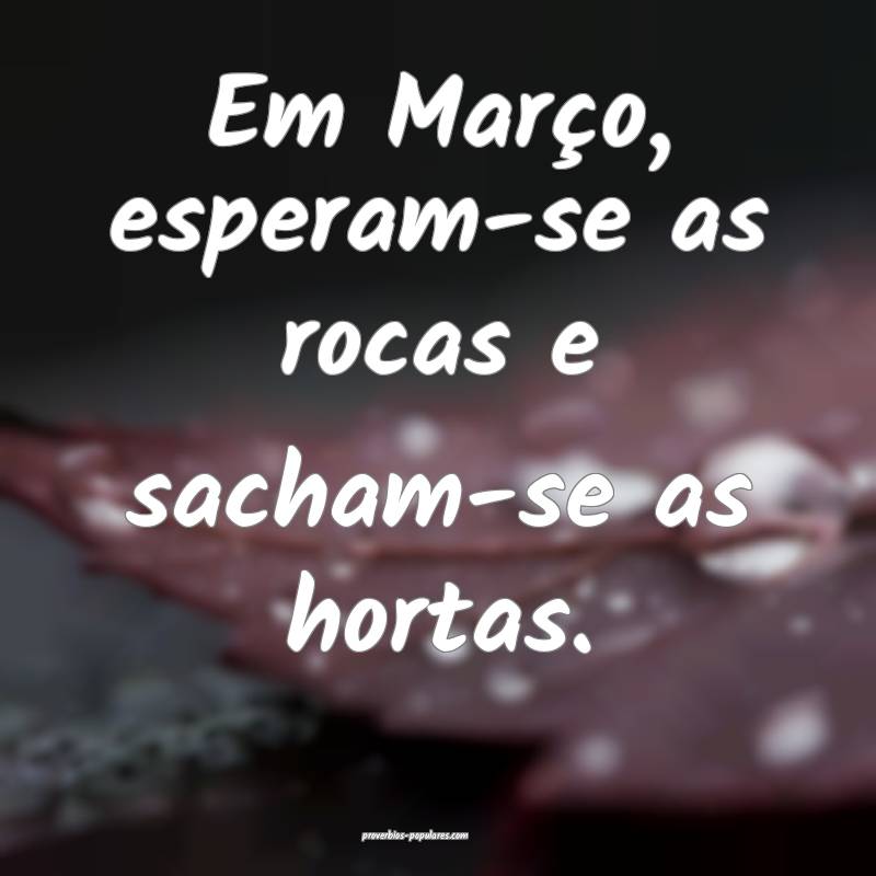Em Março, esperam-se as rocas e sacham-se as hortas.
...