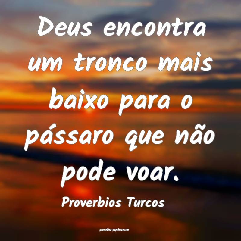 Deus encontra um tronco mais baixo para o pássaro que não pode voar....