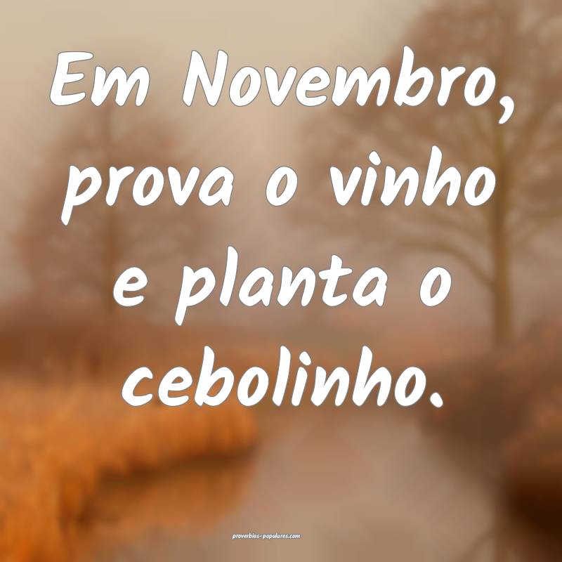 Em Novembro, prova o vinho e planta o cebolinho.
...