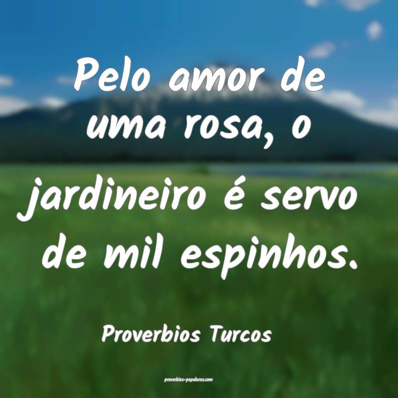 Proverbios Turcos - Pelo amor de uma rosa, o jardi ...