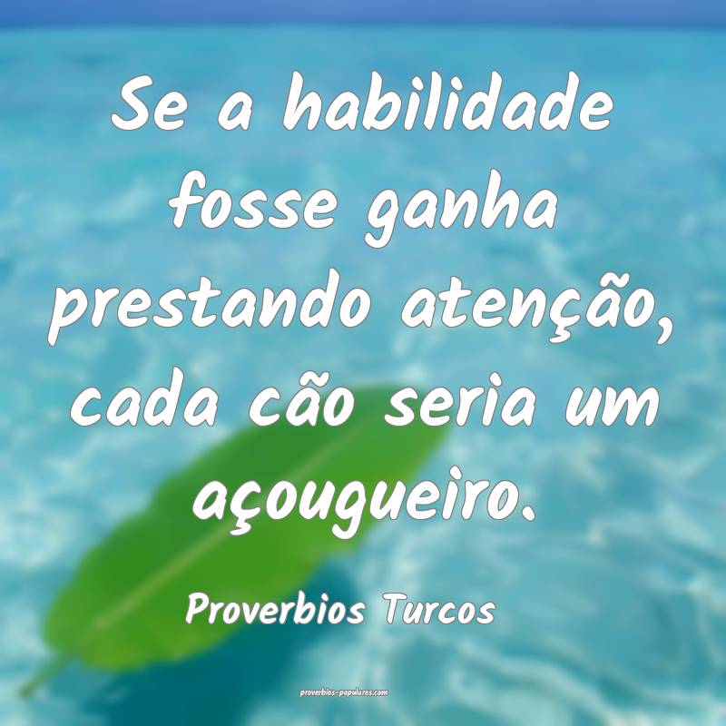 Se a habilidade fosse ganha prestando atenção, cada cão seria um a...