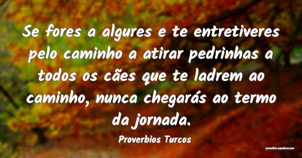 Proverbios Turcos - Se fores a algures e te entret ...