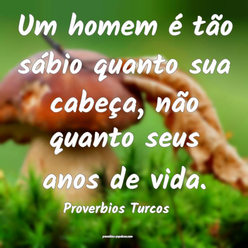 Um homem é tão sábio quanto sua cabeça, não quanto seus anos de v...