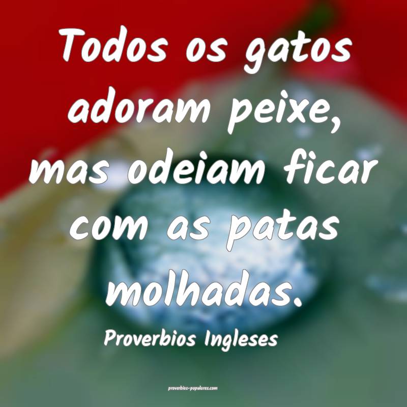 Todos os gatos adoram peixe, mas odeiam ficar com as patas molhadas.
...
