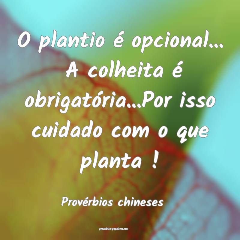 O plantio é opcional...  A colheita é obrigatória...Por isso cuidad...