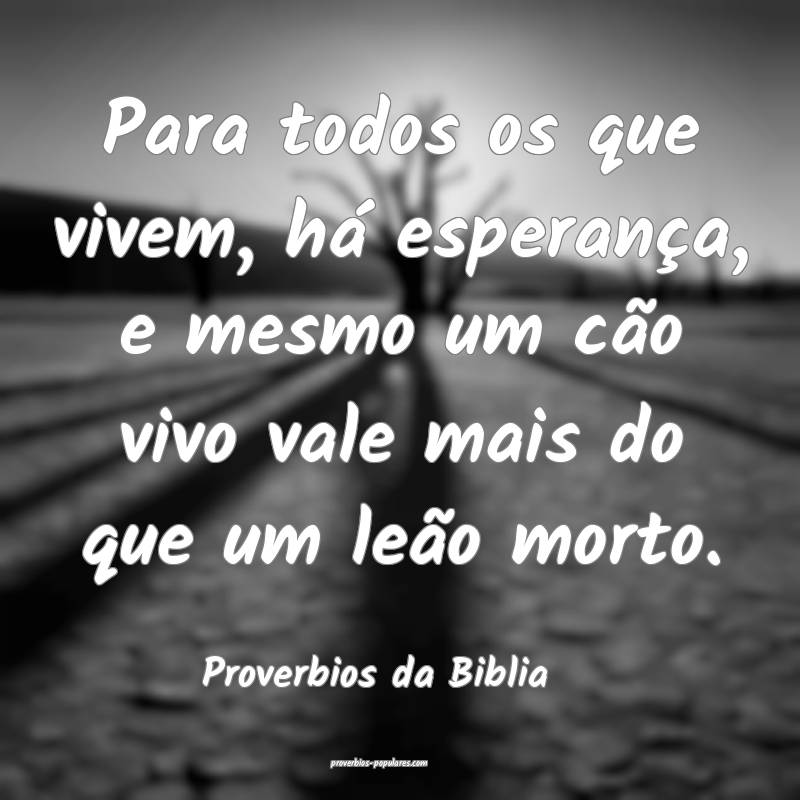 Para todos os que vivem, há esperança, e mesmo um cão vivo vale mai...