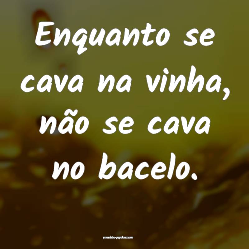 Enquanto se cava na vinha, não se cava no bacelo. ...