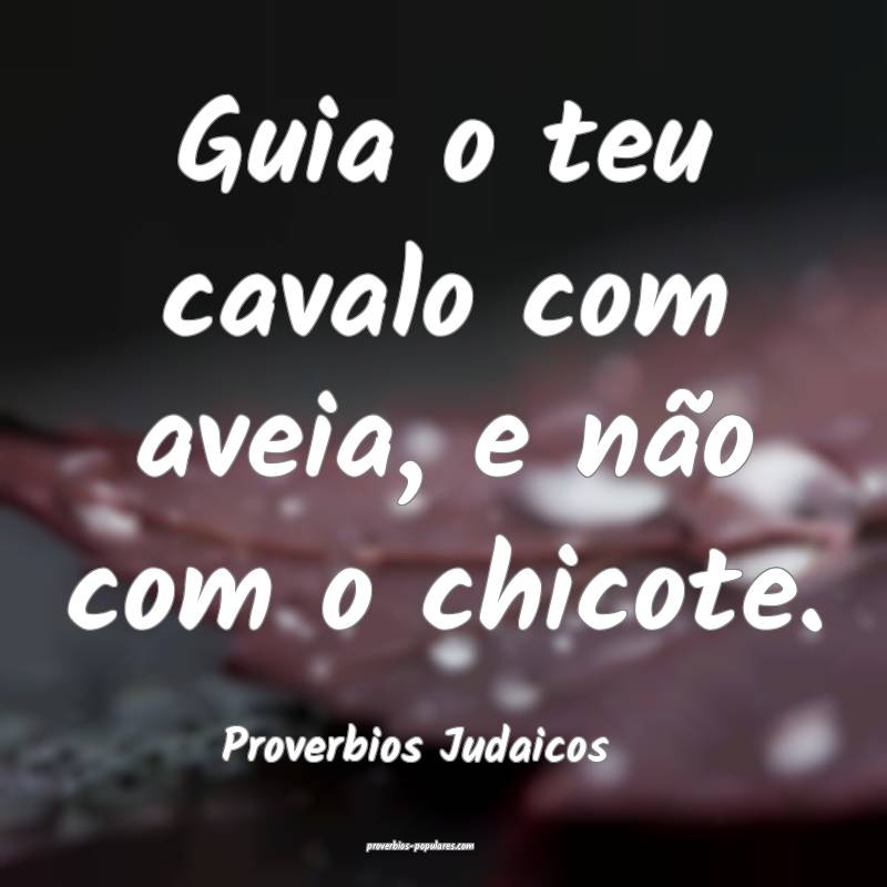 Guia o teu cavalo com aveia, e não com o chicote.
...